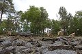 Parc de prehistoire morbihan france frankrijk french bretagne brittany dolmen menhir menhirs dino dinosaurus dinosaur dinosaure dinosauriers malansac themapark Homo Sapiens